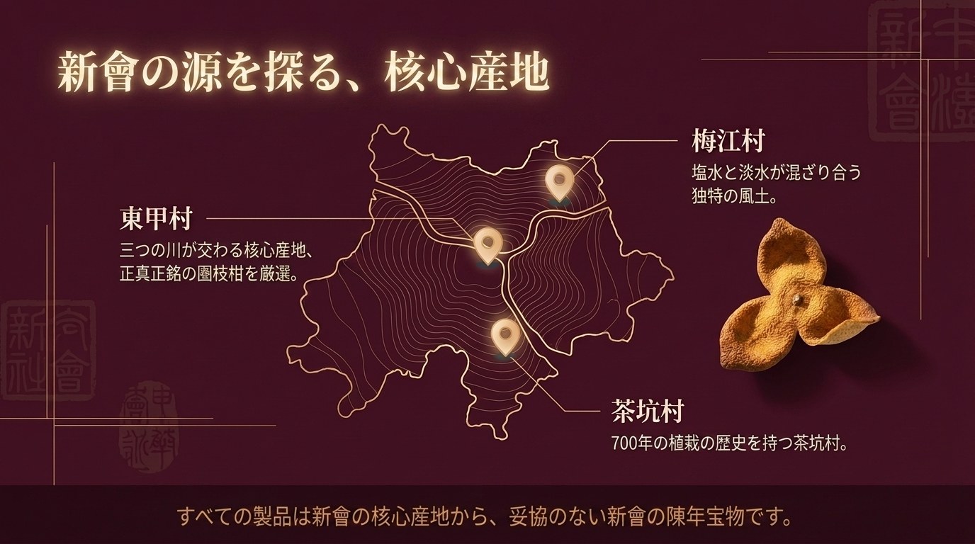 新会の中核産地マップ — 東甲 · 茶坑 · 梅江